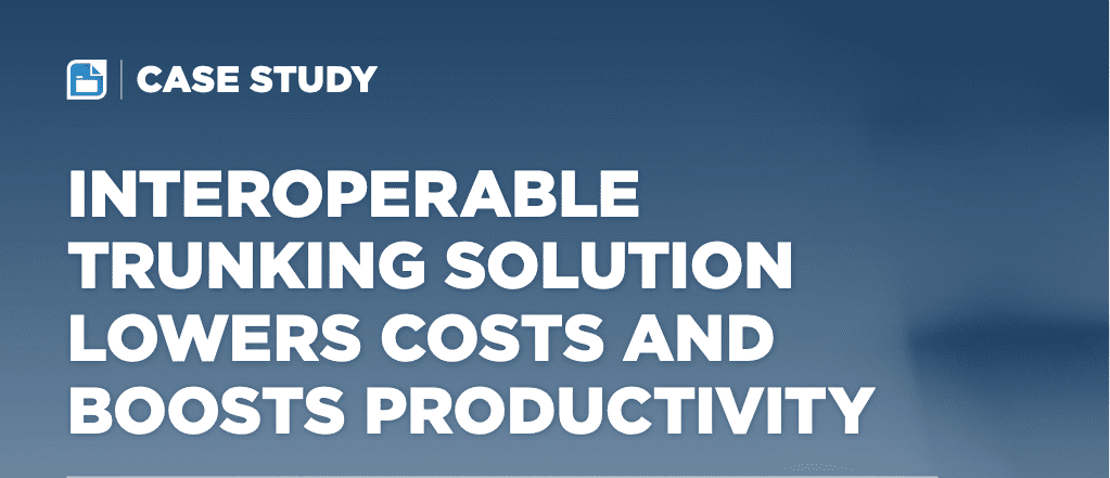 GSC Case Study IT services