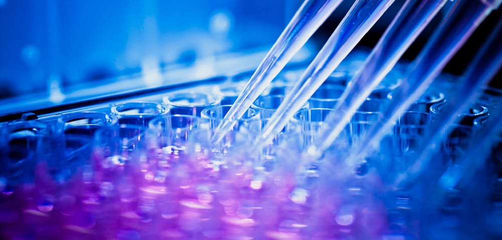 IZO™ Prime Hybrid enhanced wan solution with dynamic path selection sees global chemicals company prepare to seamlessly transition to public cloud