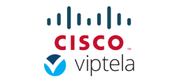 Cisco Viptela