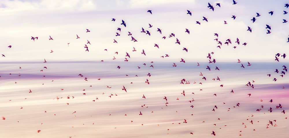 Connect & transform with the power of enterprise messaging