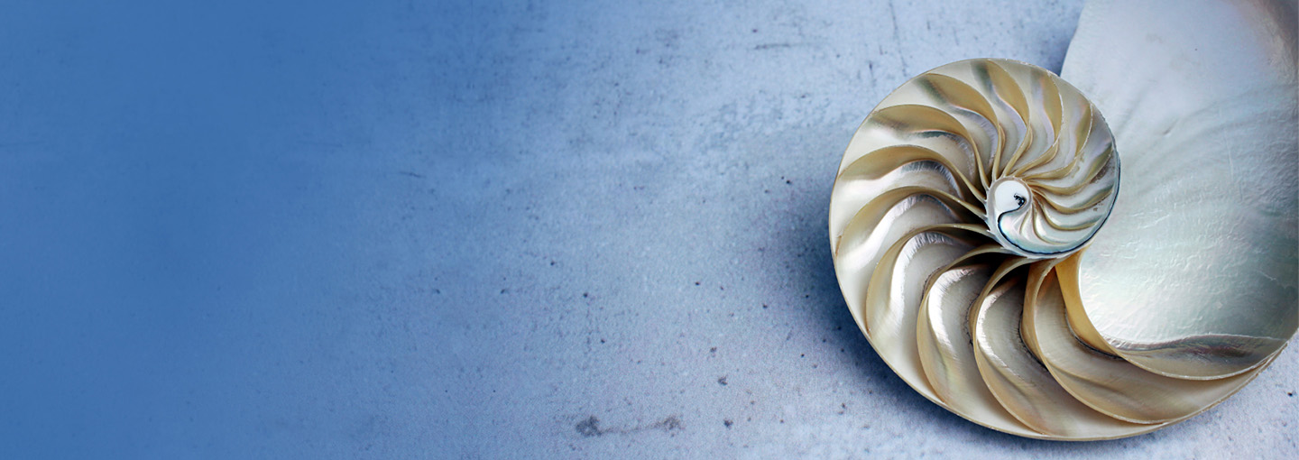 CloudLyte | Tata Communications